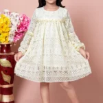 Classic Premium Dewali Special Trendy Modern Dress For Girls