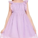Girls Ruffle Sleeve Swiss Dot Dress Stretchy A-Line Flutter Sleeve Casual Dress for 3-16 Years Kids